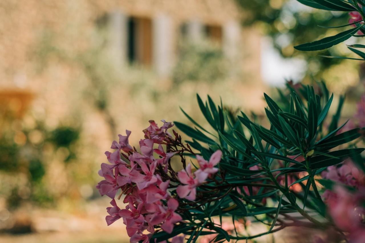 Les Gîtes du Clos Saint Michel&Spa Malaucène Extérieur photo